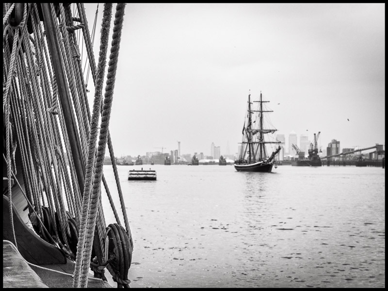 Tall Ships.jpg