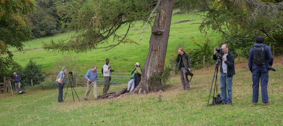 20141001 1DX 0466 Llanthony Priory.JPG