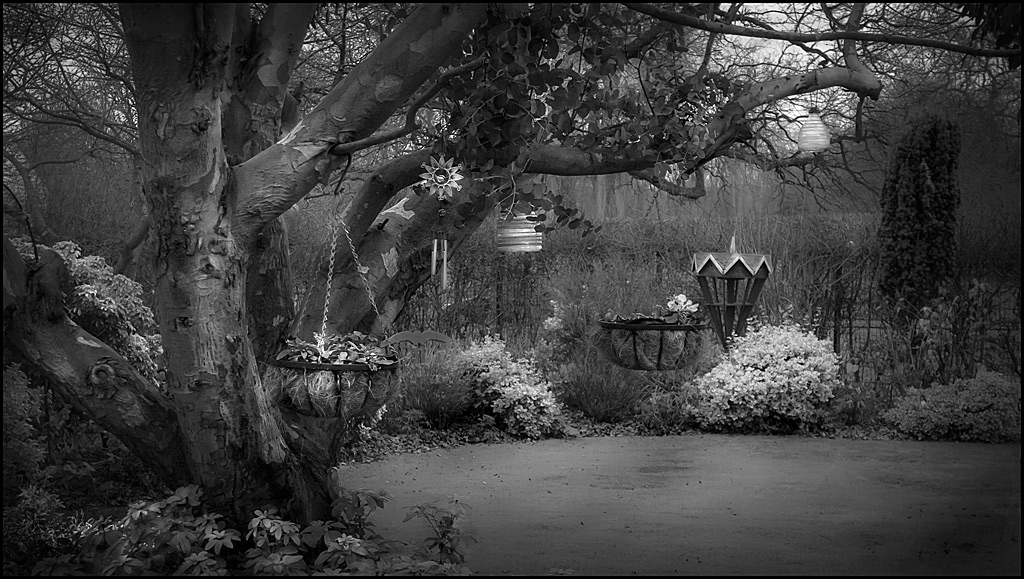 Garden-(B&W-web).jpg