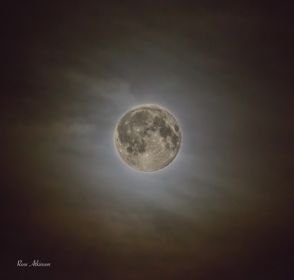 Blue-moon-(web).jpg