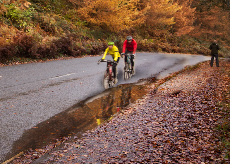 cpolours-of-autum.jpg