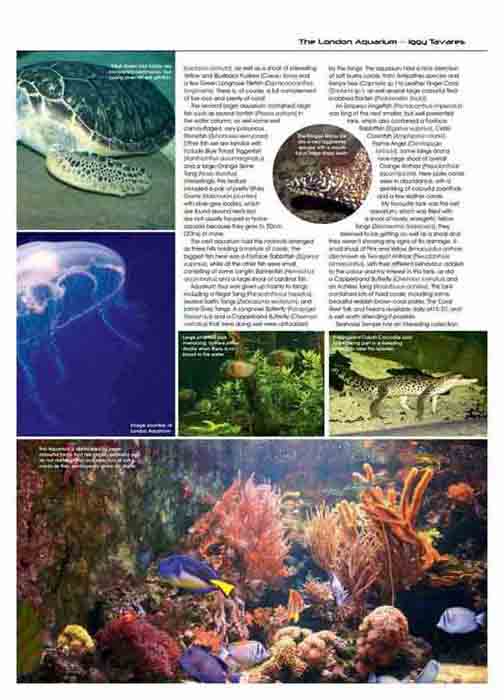 1AaS-Marine Habitat 04 London Aquarium-page-3x.jpg