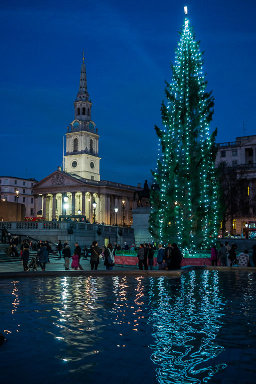 Trafalgar Square Xmas Tree.jpg