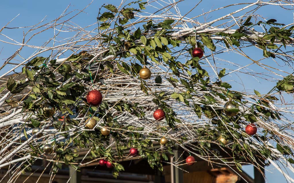 20151223 7D2 0242 London Wetlands.JPG