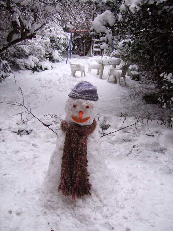 1A-Snowman Feb2009 242.jpg