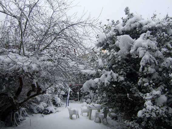 1A-Snowed in Back Garden 206.jpg