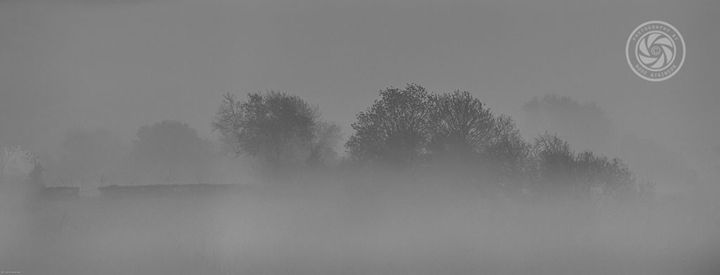 Foggy morning 2 (web).jpg