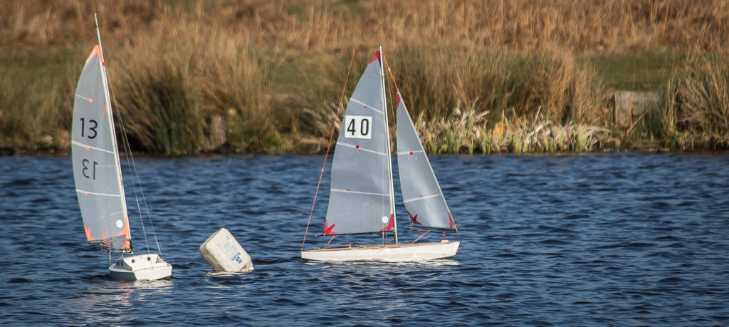 20190223 7D2 0033 Bushy Park.jpg