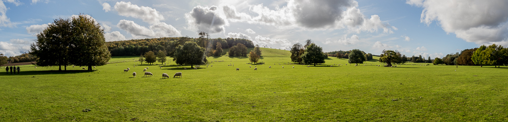 20191019 7D2 0007 WEST DEAN-Pano.JPG