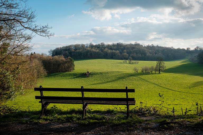 Rolling Hills of Surrey.jpg