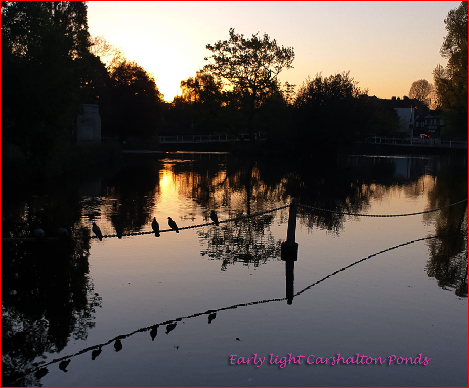 Carshalton ponds.jpg