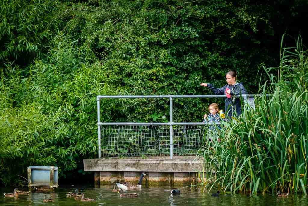 Feeding the Ducks.jpg