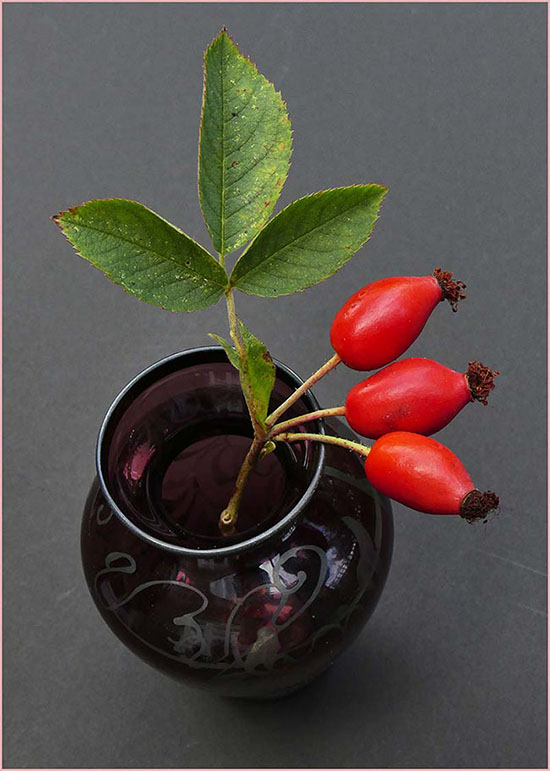 S34 Rose Hip Trio.jpg