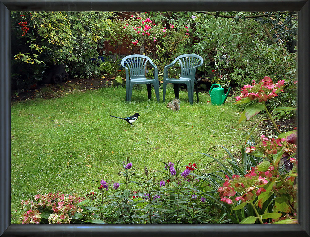 S41 Looking Through the Glass IMG_9705-ax.jpg