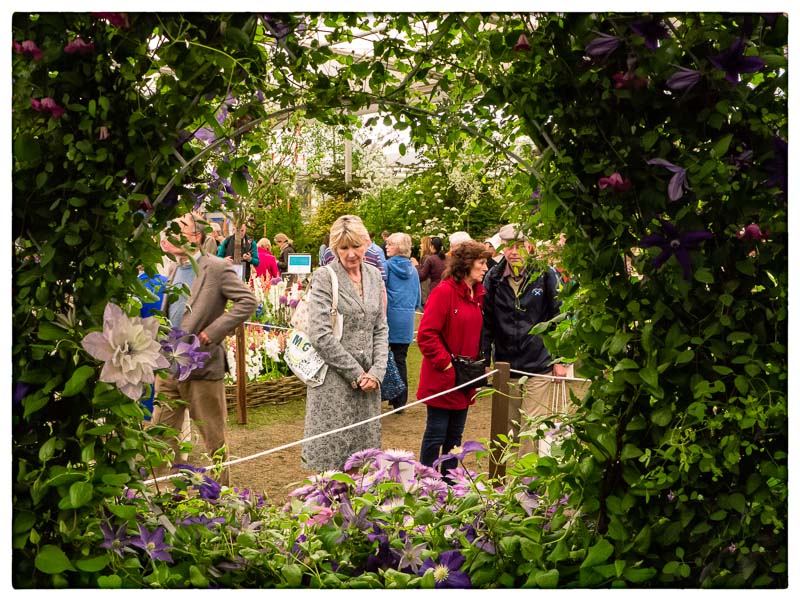 Chelsea Flower Show.jpg