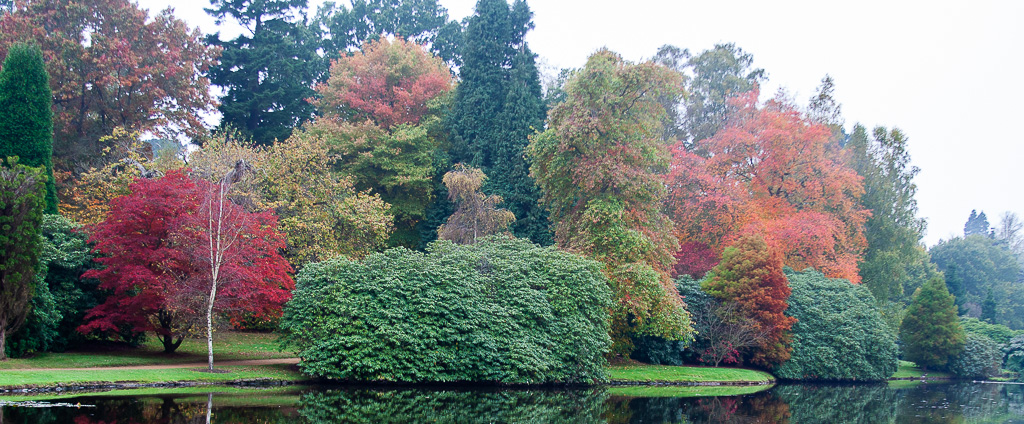 20071026 0005 Sheffield Park Gardens.jpg