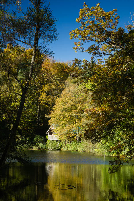 Winkworth Arboretum (3 of 3).jpg