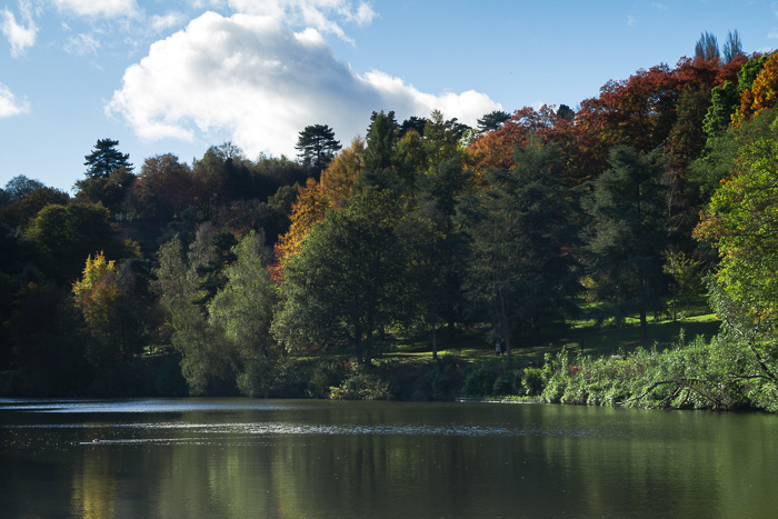 Winkworth Arboretum (2 of 3).jpg