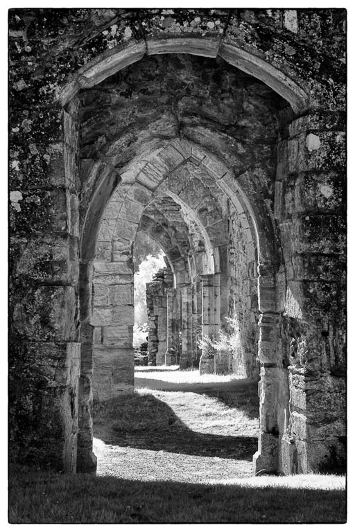 Bayham Old Abbey-5.jpg