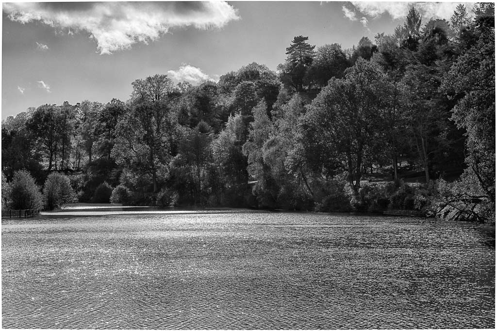 Lake View in Mono 02a.JPG