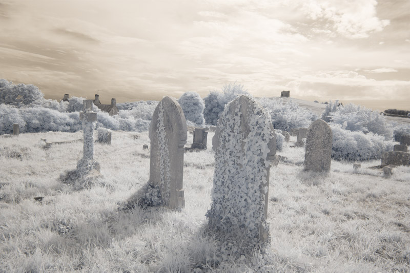 Abbotsbury Churchyard - Raw.jpg