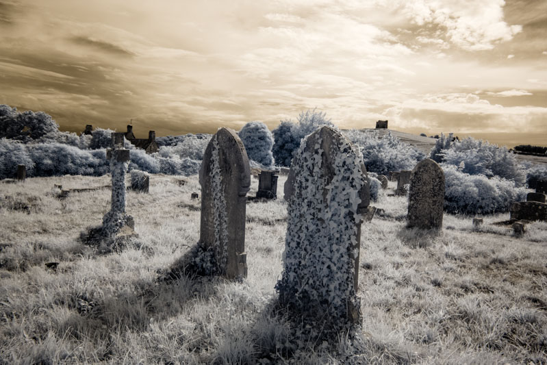 Abbotsbury Churchyard - Pre SEP2.jpg