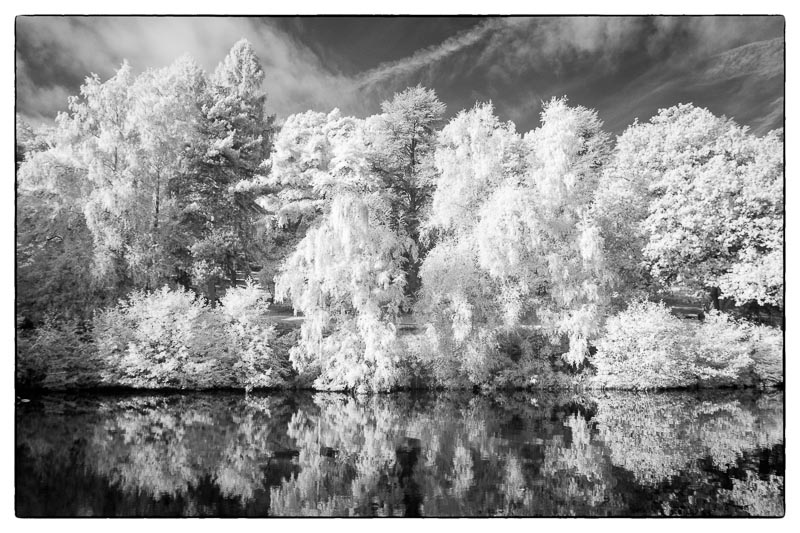 Autumnal Infrared.jpg