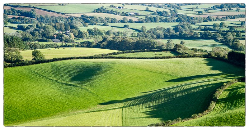 View From Pilsdon Pen.jpg