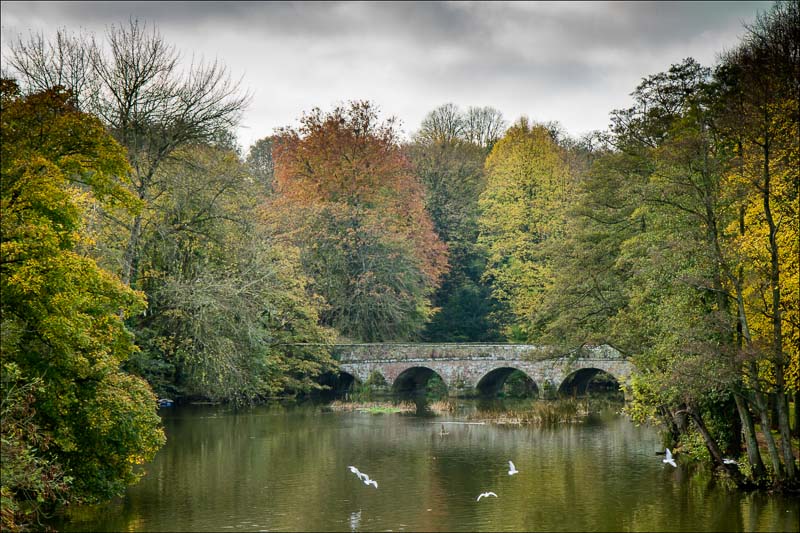 River Stour.jpg