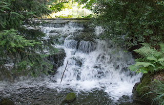 20140730 1DX 0018B River Wandle FORUM.JPG